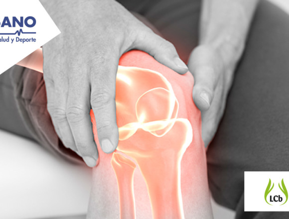 Artrosis de rodilla